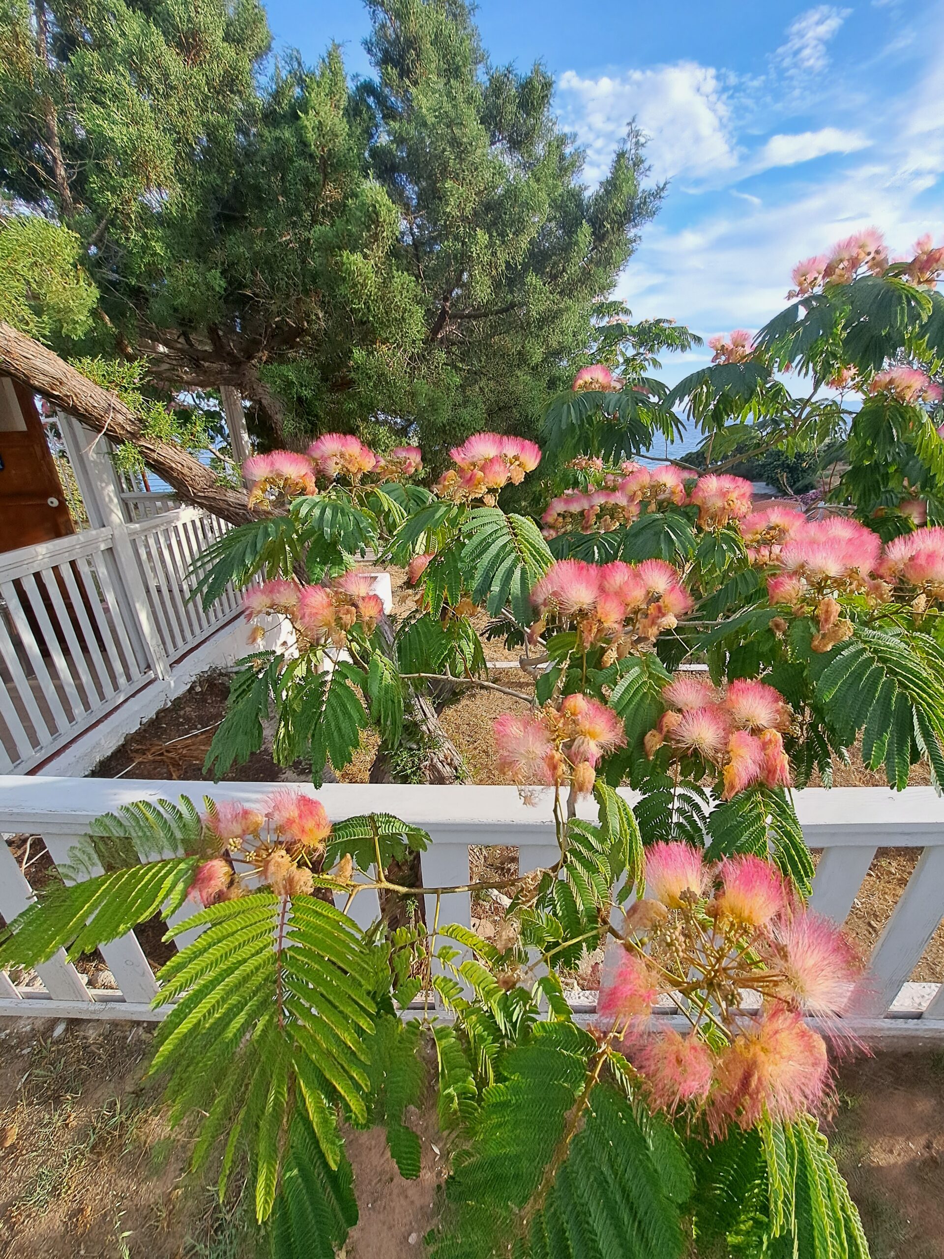 Töötamine suveperioodil